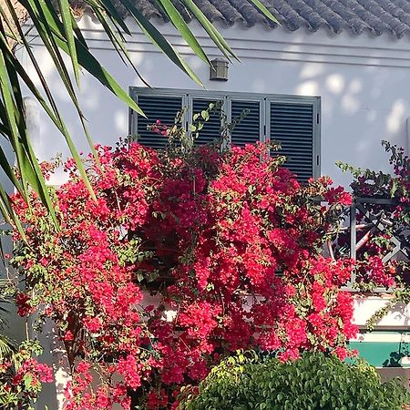 La Buganvilla 치클라나 데 라 프론테라 외부 사진